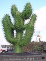 Direkt beim Kaktusgarten